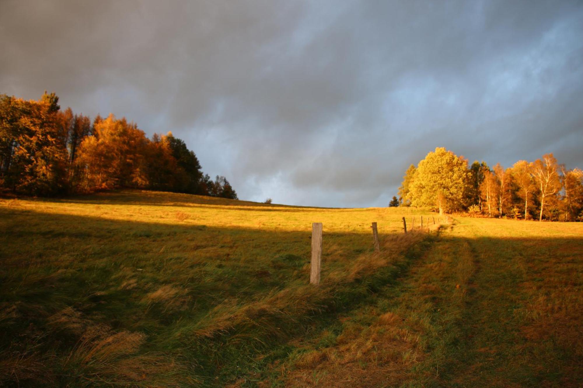 Gasthaus "Zum Wanderstuebel" Hinterhermsdorf Esterno foto