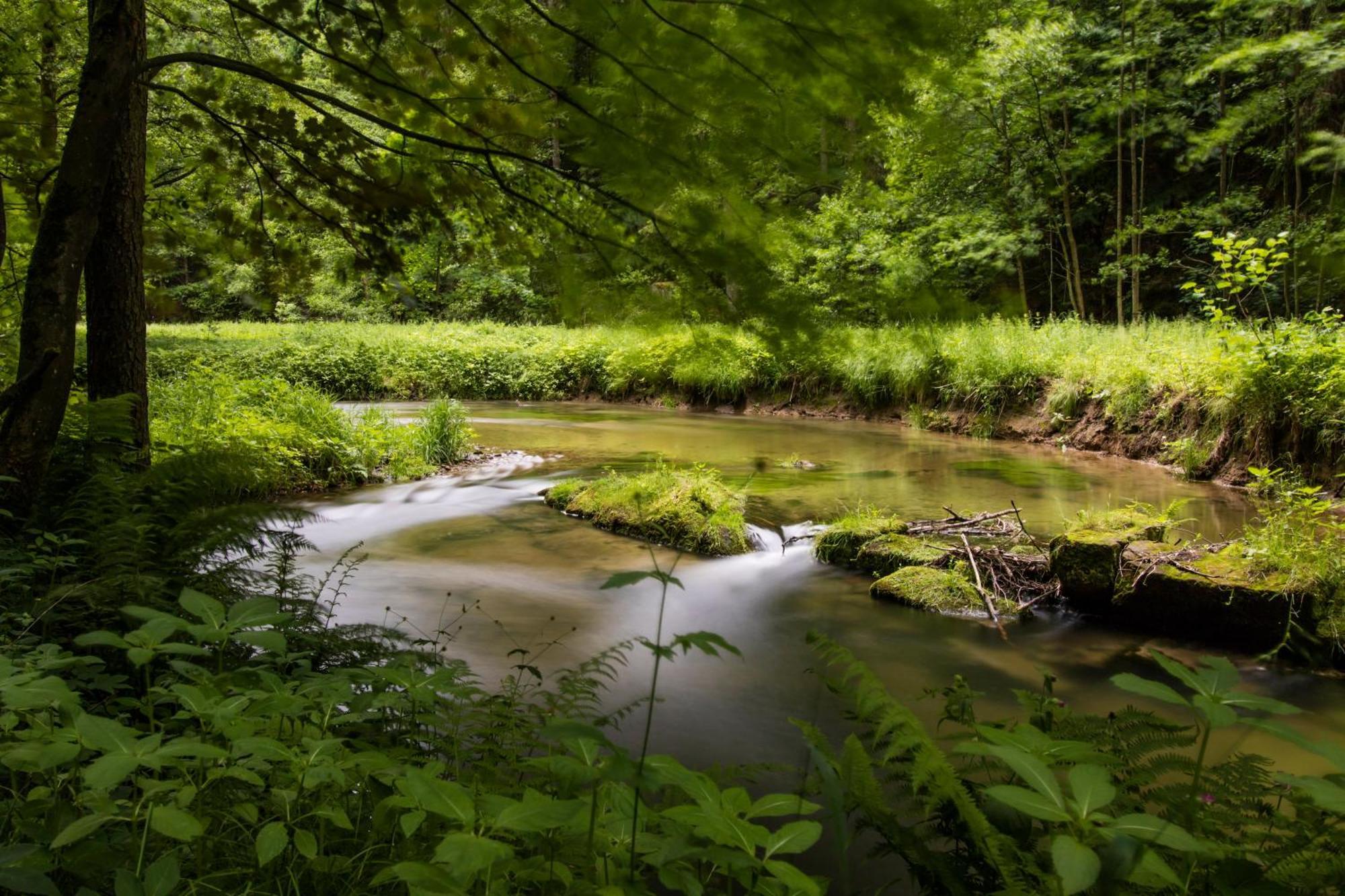 Gasthaus "Zum Wanderstuebel" Hinterhermsdorf Esterno foto